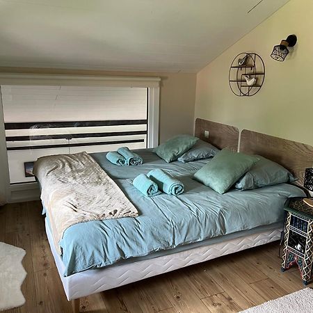 Duplex 3 Chambres Vue Mont-Blanc Domancy Екстер'єр фото