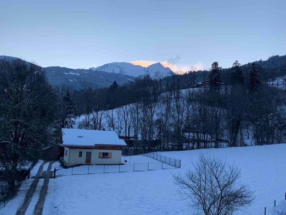 Duplex 3 Chambres Vue Mont-Blanc Domancy Екстер'єр фото