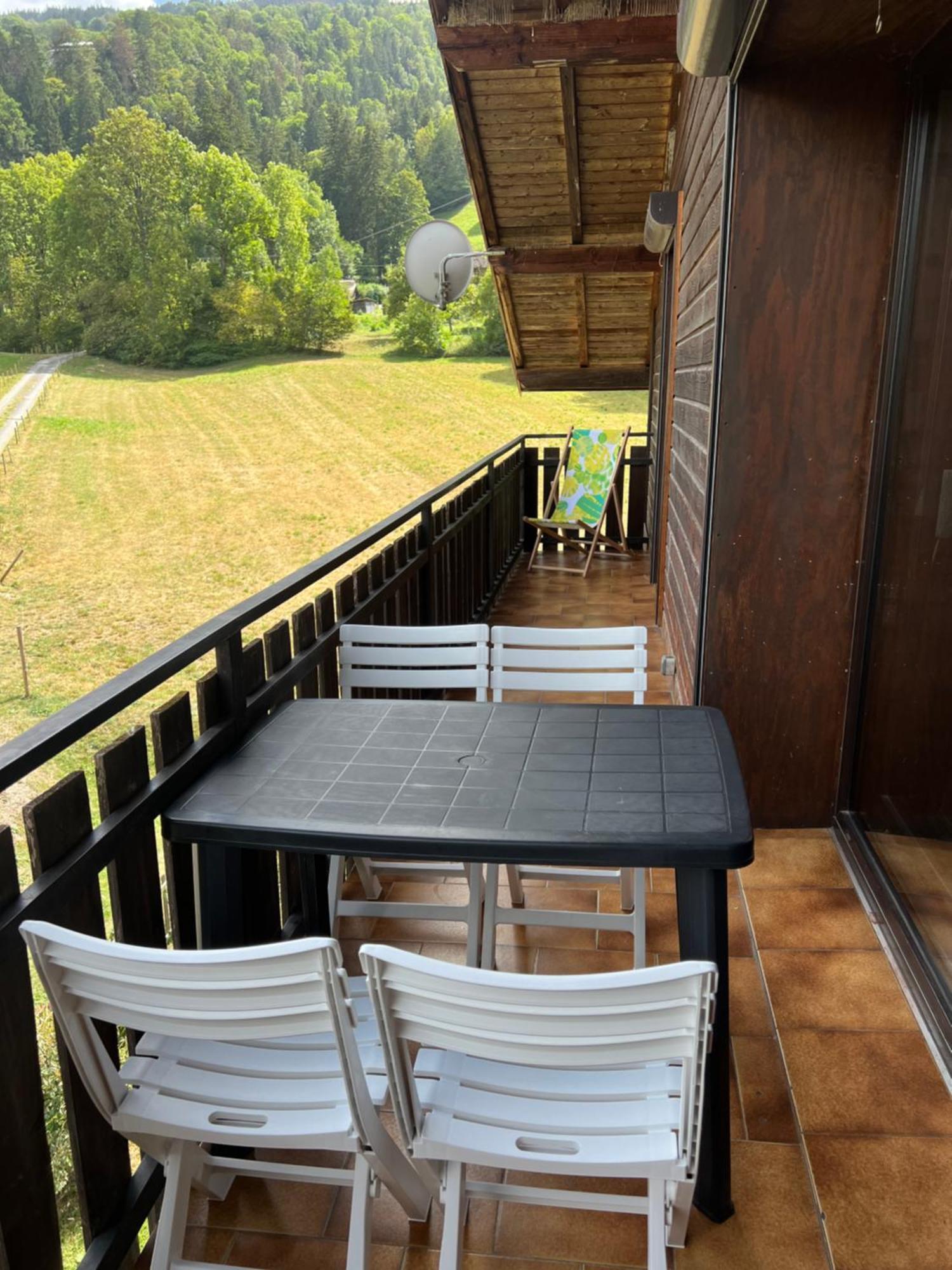 Duplex 3 Chambres Vue Mont-Blanc Domancy Екстер'єр фото